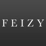 Feizy Import & Export Co., Ltd. logo