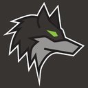 Dark Wolf Solutions logo