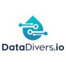 DataDivers.io logo