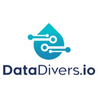 DataDivers.io
